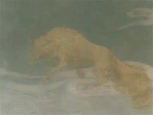 inuyasha050590001.jpg