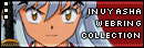 webringgraphics.jpg