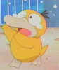 wideeyedduck.jpg